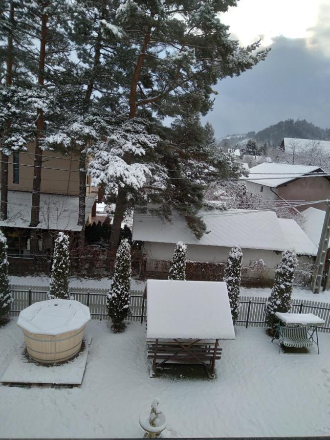 Pensiunea Mariana Bran  Buitenkant foto