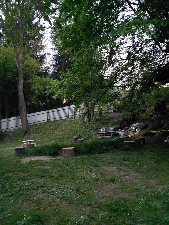 Pensiunea Mariana Bran  Buitenkant foto